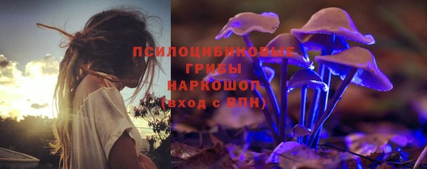 молекула духа Нефтегорск