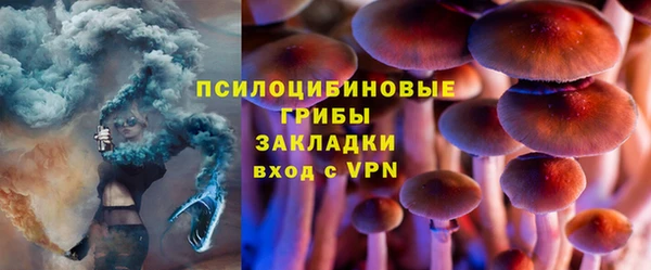 молекула духа Нефтегорск